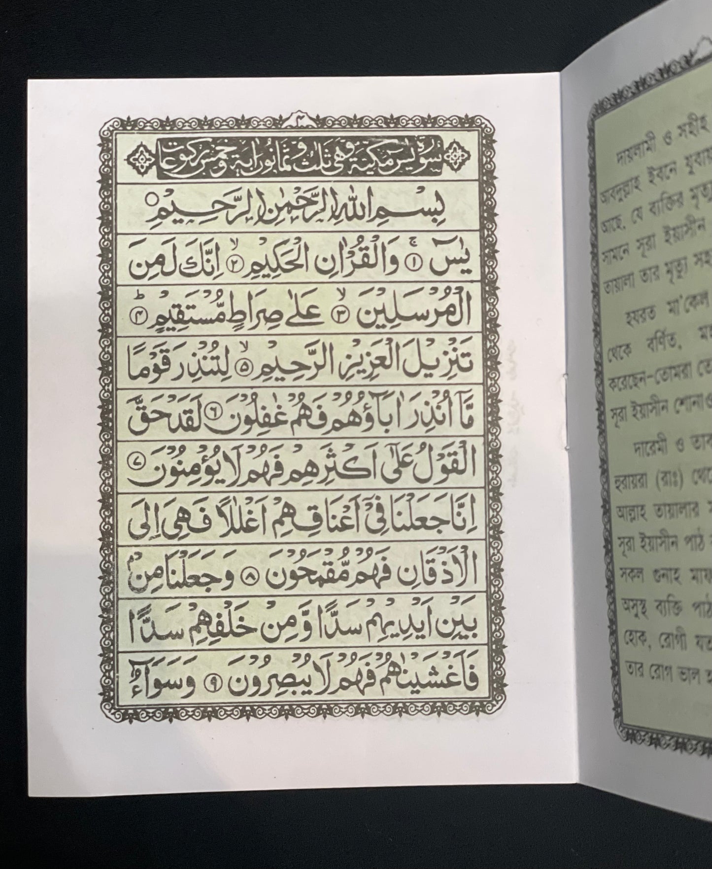 Surah Ya-Sin| Pocket Size