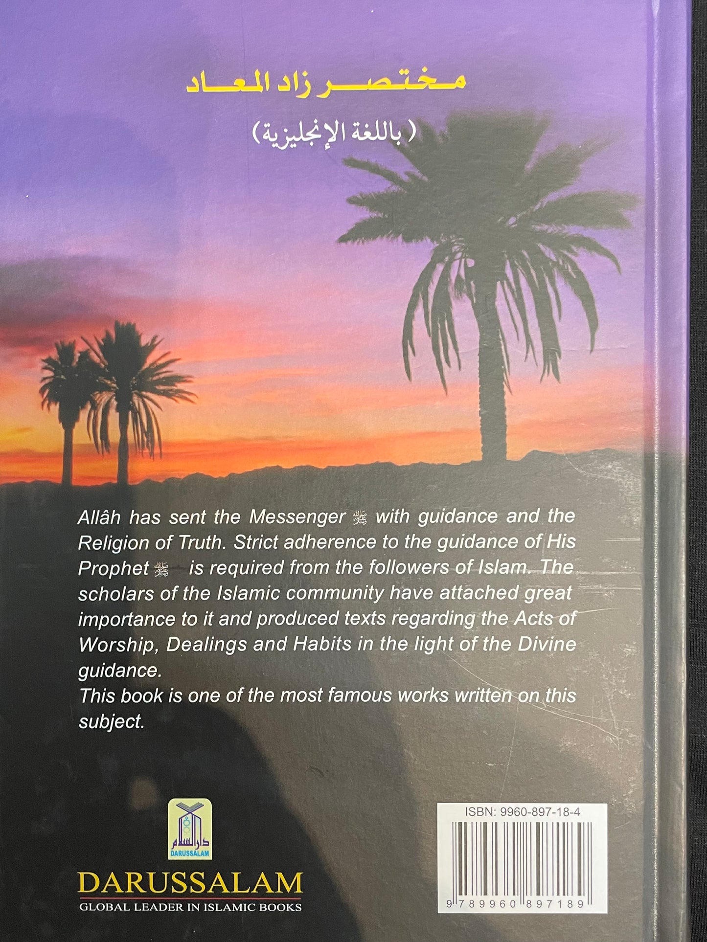 Provisions For the Hereafter|Darussalam