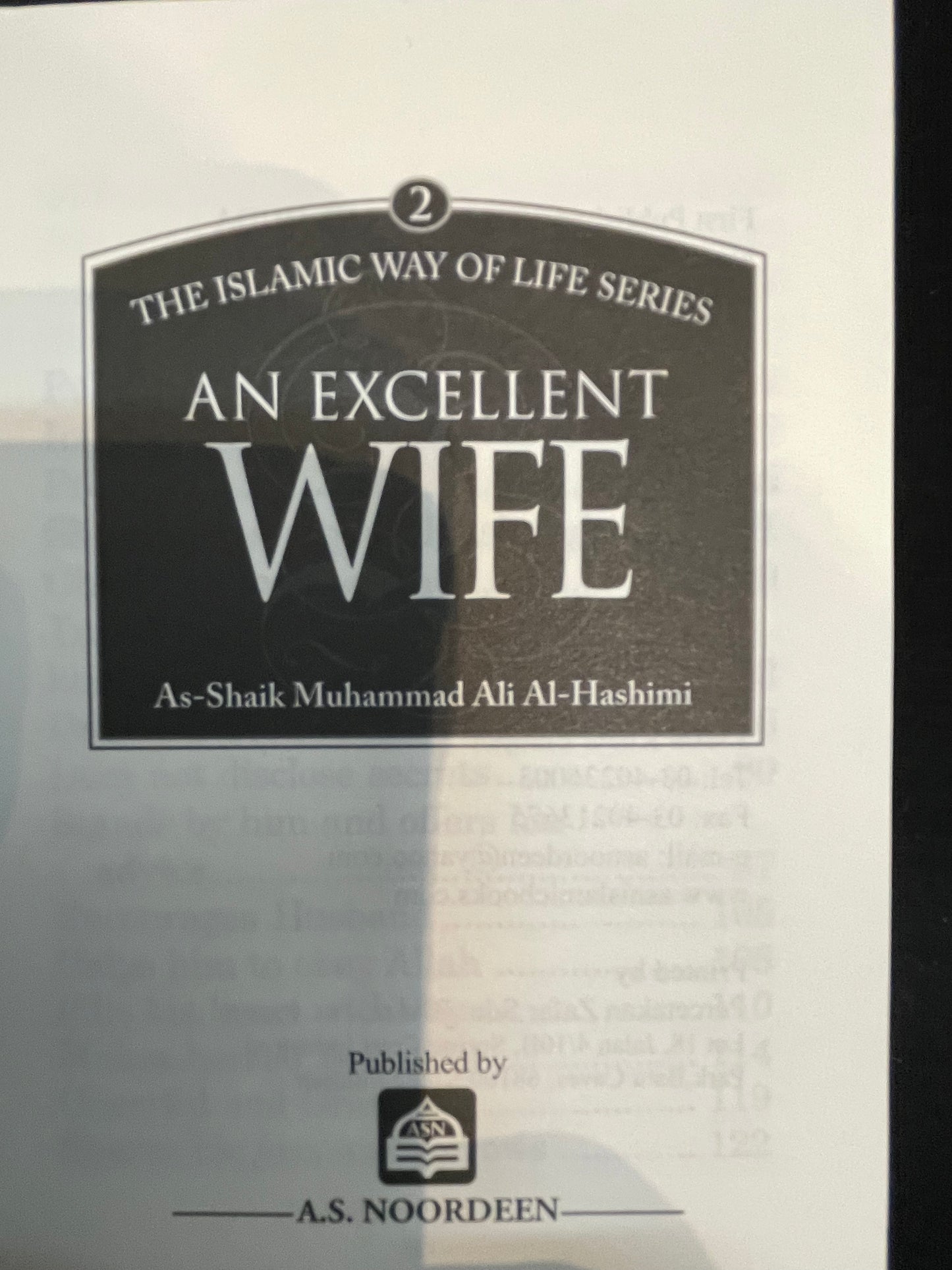 AN EXCELLENT WIFE